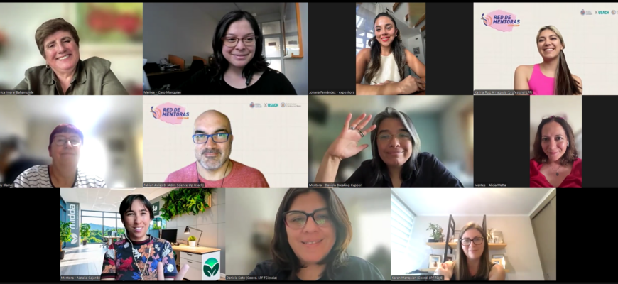 Taller sobre cómo preparar y presentar un pitch de alto impacto protagoniza segundo encuentro de la Red de Mentoras Science Up Usach