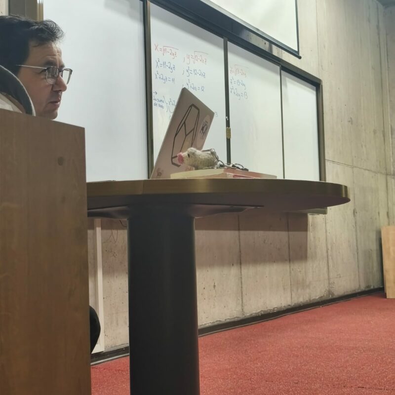 WhatsApp Image 2025-12-15 at 11.14.14